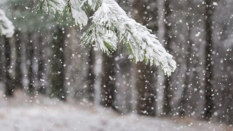 Alarmi për temperatura -20 për Vit të Ri, IHMK del me njoftim