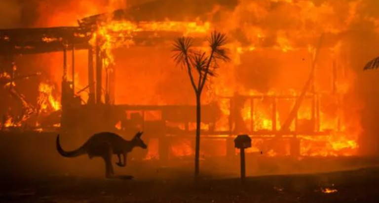 Ngrin Amerika, digjet Australia, temperatura arrijnë rekordin 48 gradë celsius