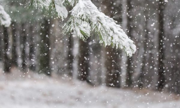 IHMK paralajmëron ulje të temperaturave, reshje bore dhe rrezik nga ngricat