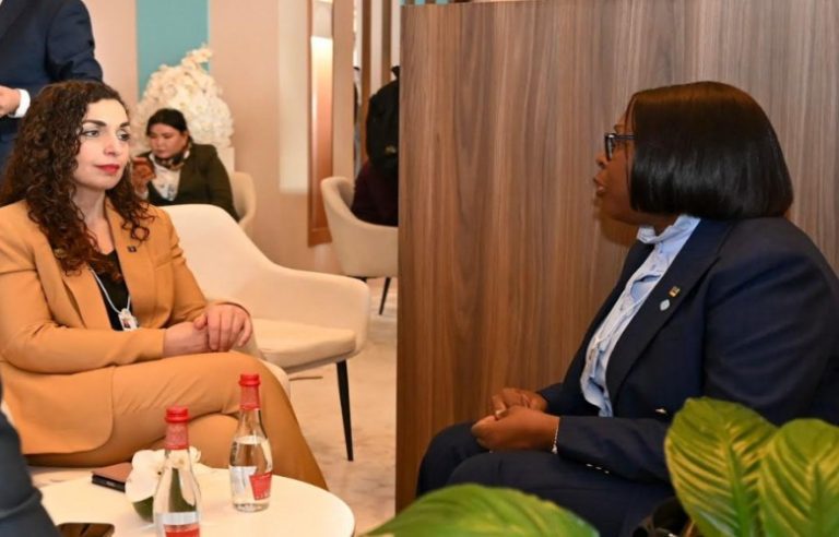 Osmani takohen me kryeministren e Mozambikut, flasin për bashkëpunim mes shteteve