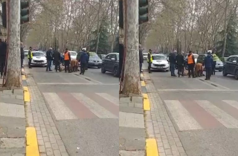 Aksident me vdekje në Tiranë, autoboti me ujë përplas një grua