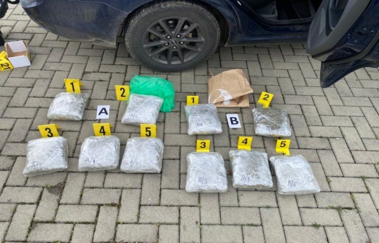 Prokuroria në Gjakovë kërkon paraburgim ndaj shtetasit të Shqipërisë për shpërndarje të drogës