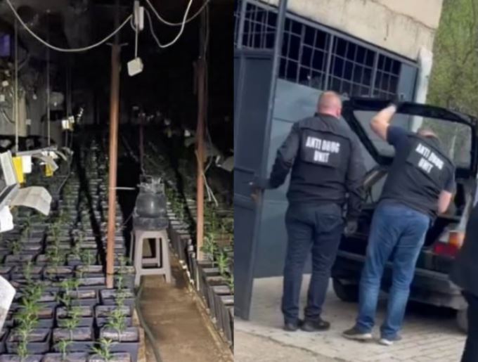Prokurorja jep detaje për laboratorin e drogës në Pejë: Përdoroheshin pajisje të avancuara për kultivim