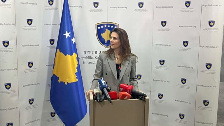 Çitaku: Shumica parlamentare ka opsione të tjera për zgjedhjen e presidentit, jo vetëm PDK-në