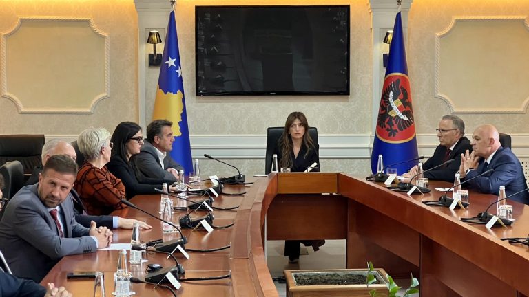 Nis takimi i Albulena Haxhiut me përfaqësuesit e partive politike për zgjedhjet e parakohshme
