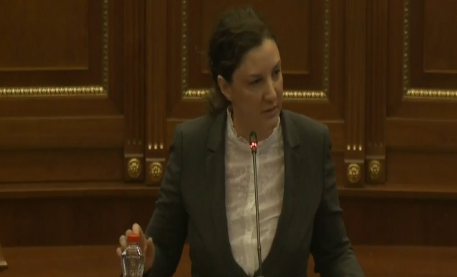 Rizvanolli: Kosova ka çmimin më të ulët të energjisë në rajon