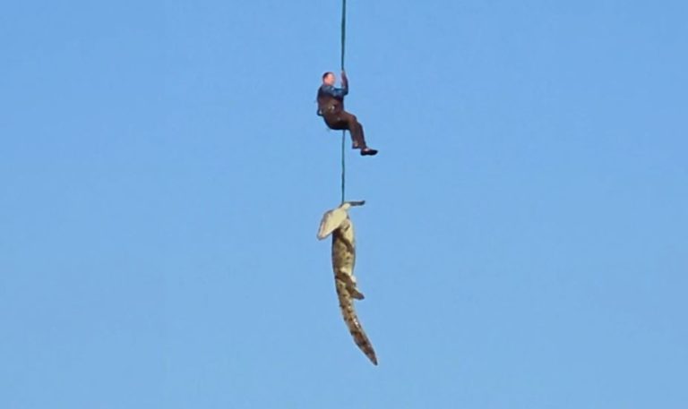 Polici kap me litar nga një helikopter krokodilin që kishte ngrënë një burrë në Afrikën e Jugut (VIDEO)