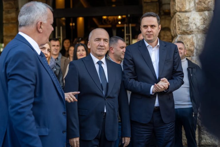 Si fuqizohet LDK-ja, duke u kthyer te të vjetërit, apo me vizion të ri?